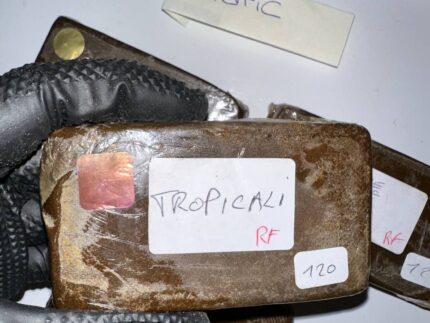 Tropicali